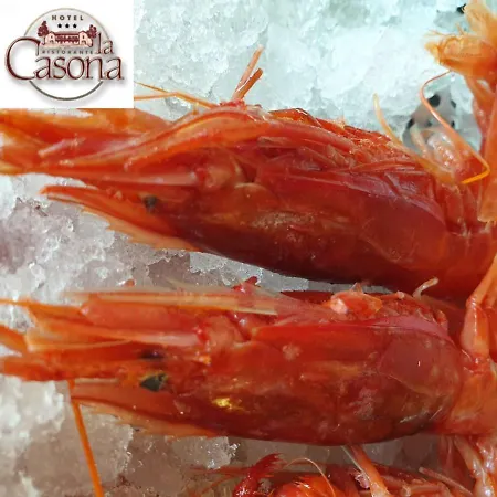 فندق Ristorante La Casona 3*